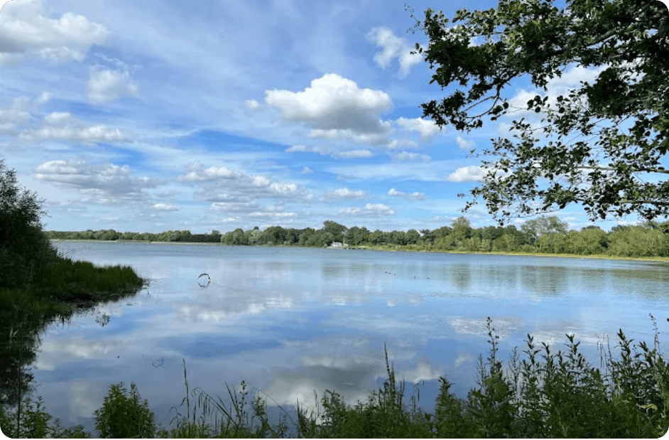 Aldenham Country Park